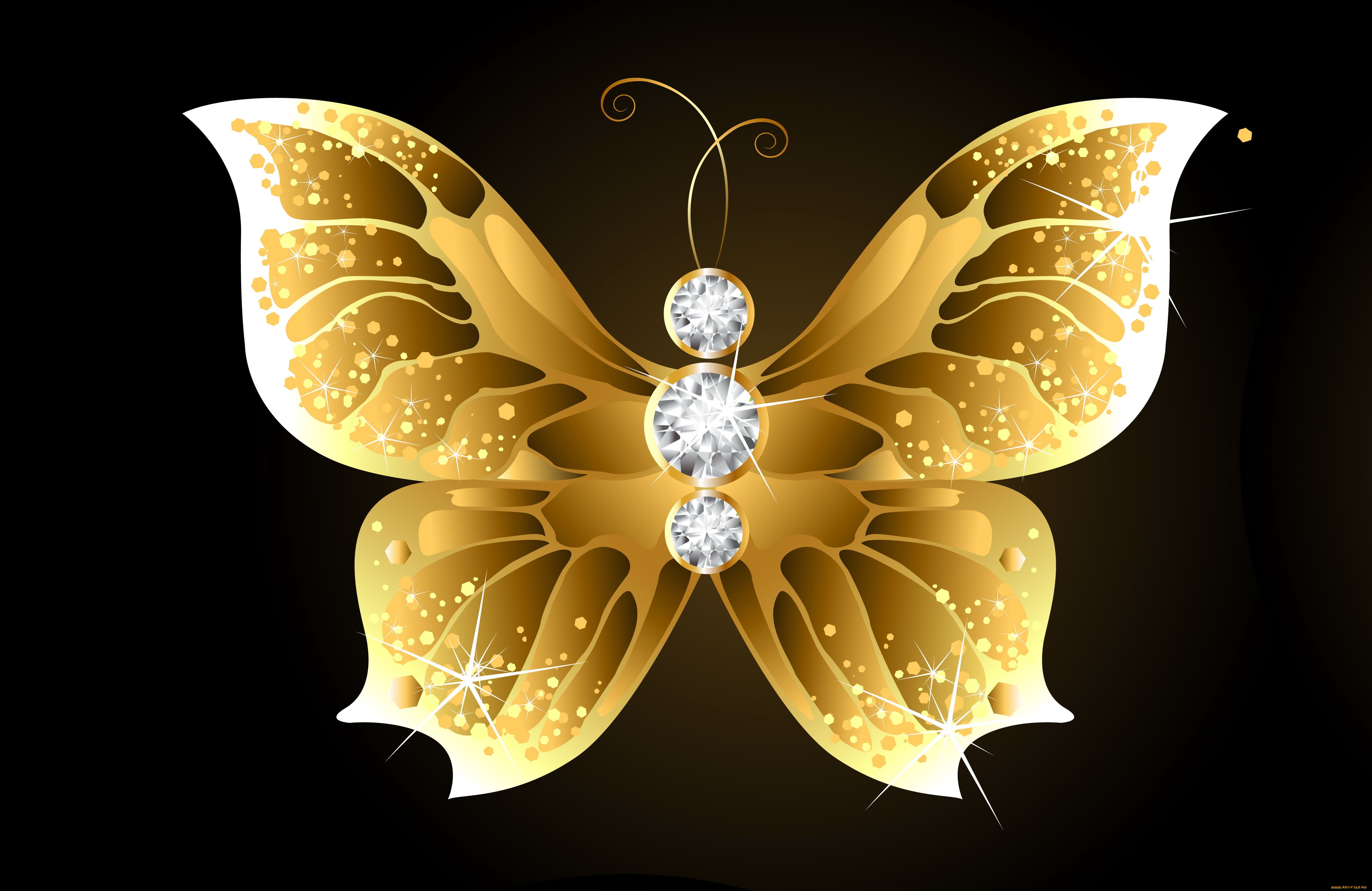  ,  , animals, 